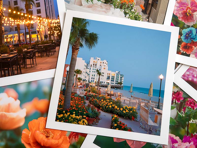 Show Kits Packaged Prints (Mats & Backing)