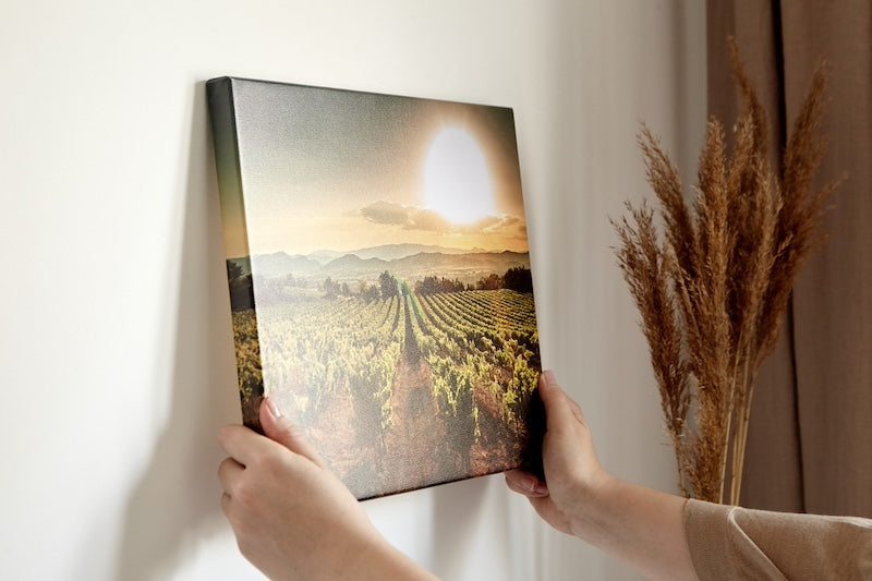How to Hang Canvas Art on The Wall: 4 Easy Techniques
