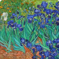 Vibrant blue irises painting