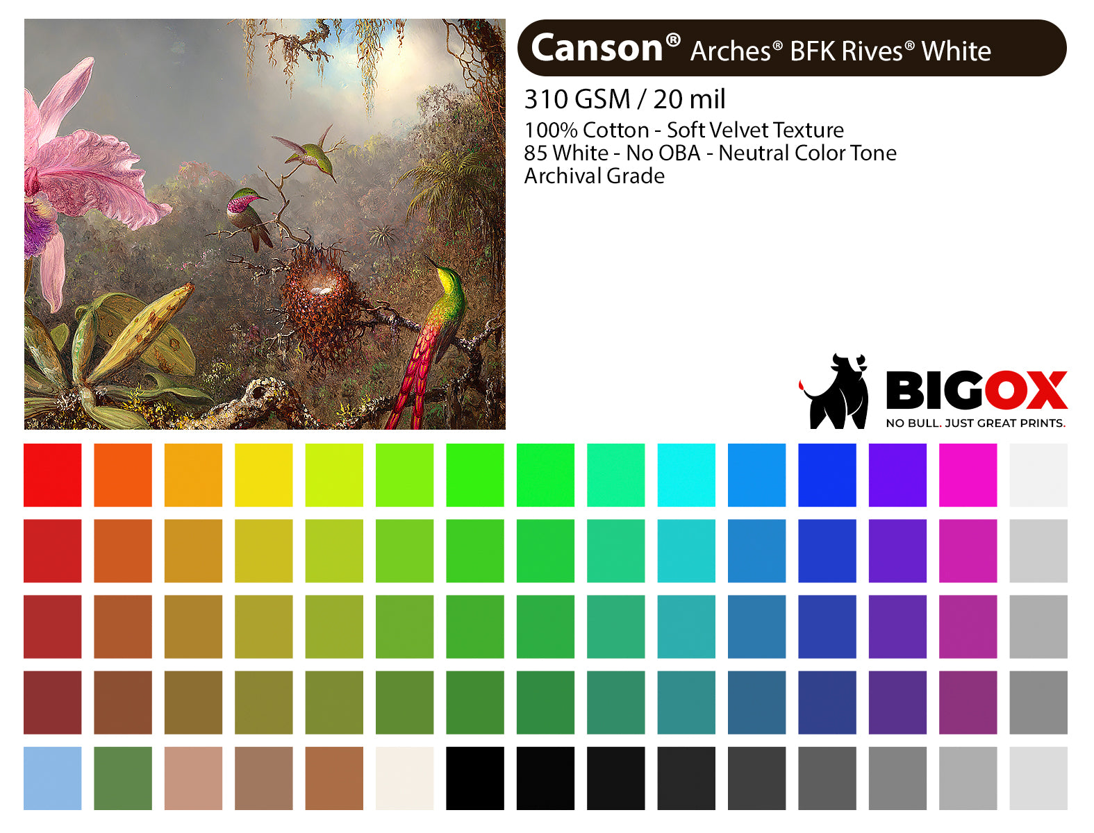 BigOx color paper sample with bird and botanical artwork, color swatches, and paper specifications